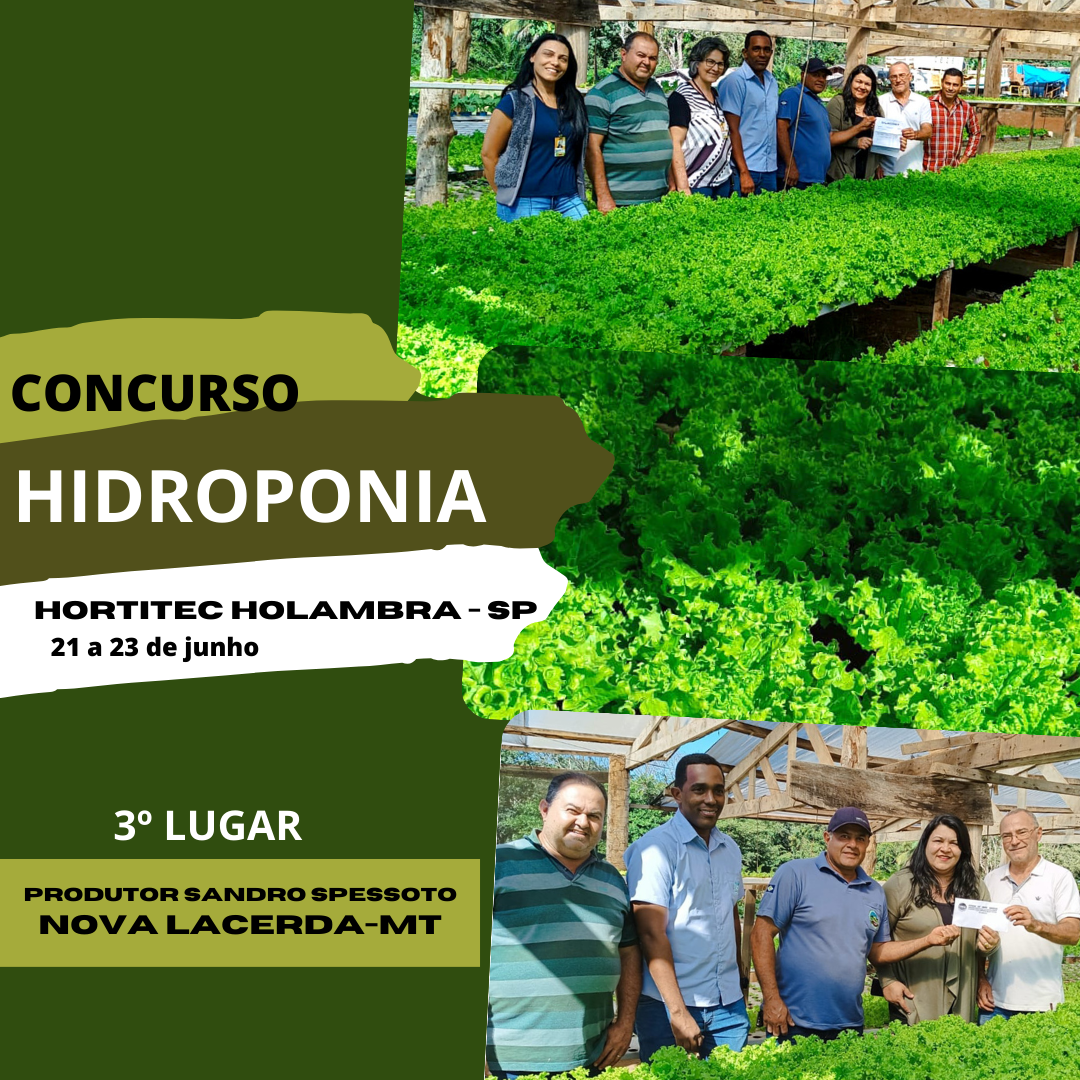 MUDAR 3º LUGAR 2 Copia