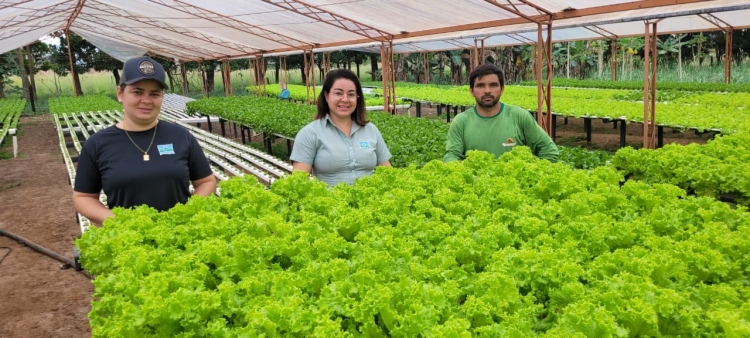 VISITAS AOS PRODUTORES DE HIDROPONIA DO VALE DO GUAPORÉ